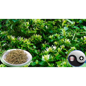 Heat Clearing Herbs