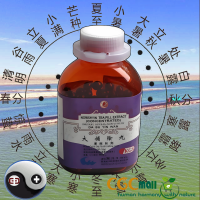 Dabu yin wan Norishyin Tea Pill 200 Dabu yin wan Norishyin Tea Pill 200
