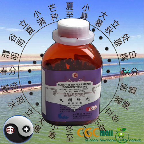 Dabu yin wan Norishyin Tea Pill 200 Dabu yin wan Norishyin Tea Pill 200