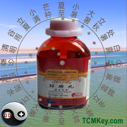 Angelicae Longona Extract (gui pi wan) 200 tiny pills Angelicae Longona Extract (gui pi wan) 200 tiny pills